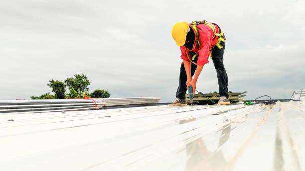 Steel Roofing in Lealman, FL